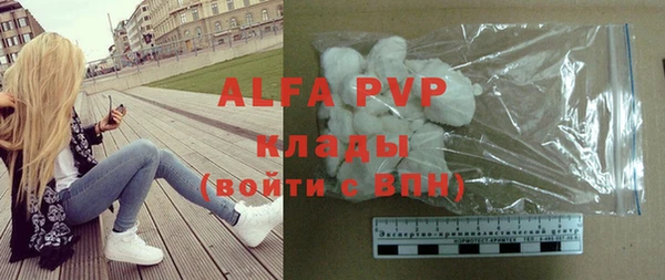 a pvp Бородино